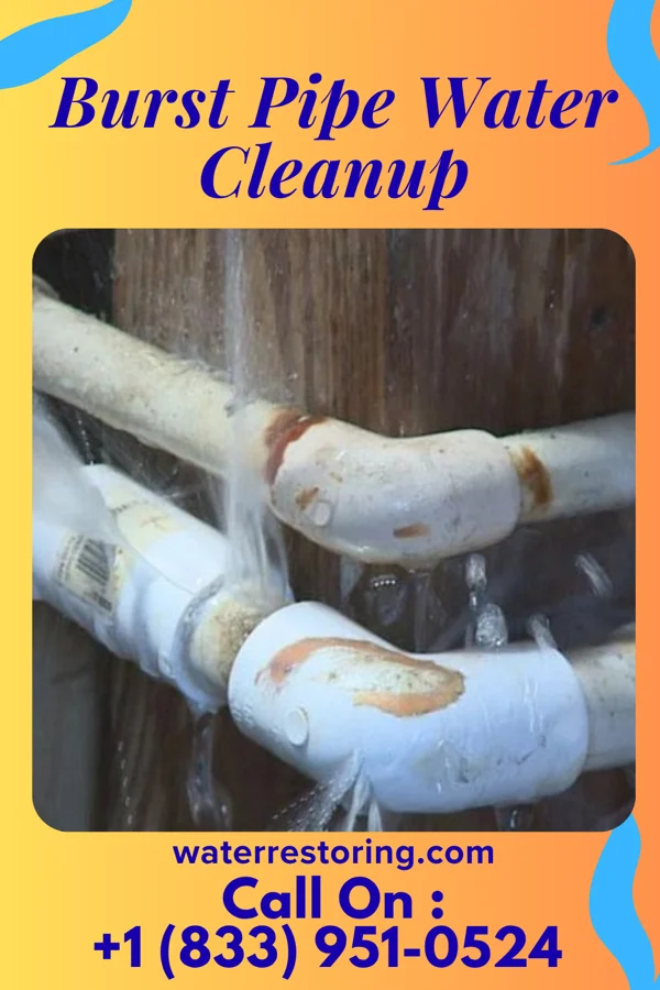Burst Pipe Water Cleanup in Harrington, WA