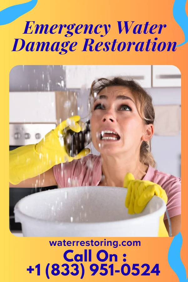 Emergency Water Damage Restoration in Harrington, WA