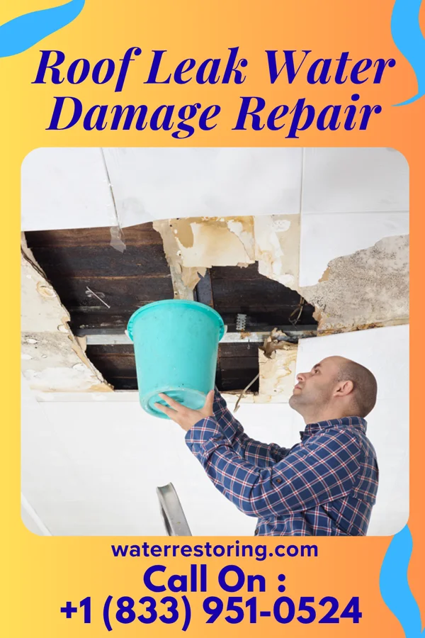 Roof Leak Water Damage Repair in Harrington, WA